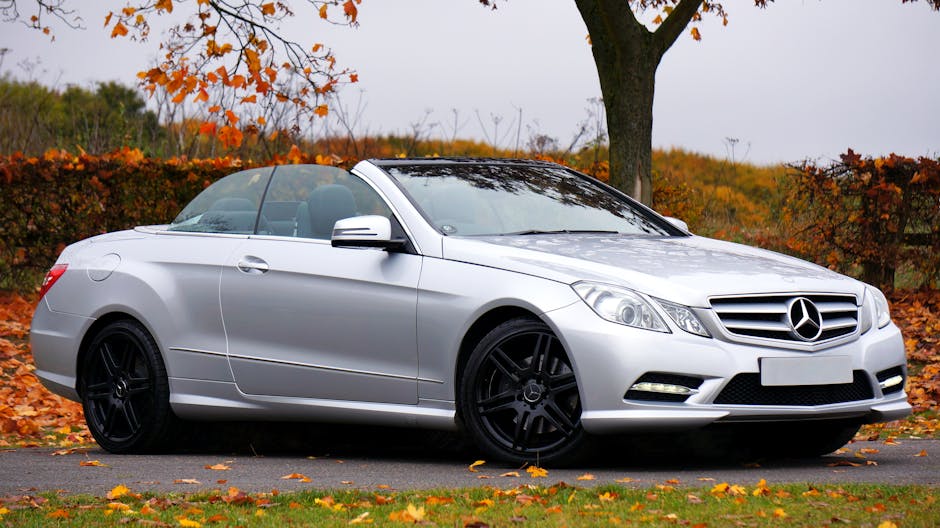 A luxurious silver convertible Mercedes-Benz parked amidst autumn foliage, showcasing elegance and style